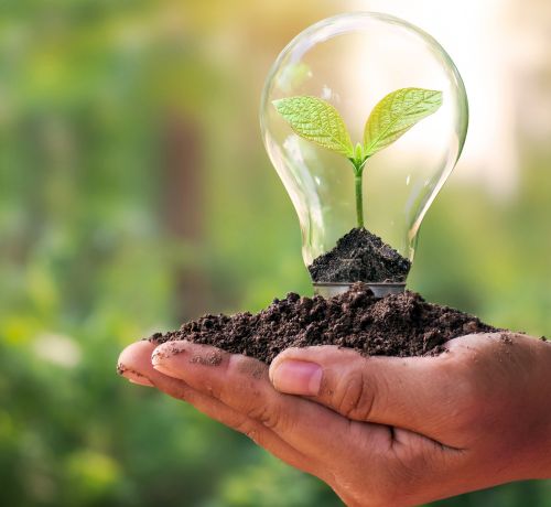 SUSTAINABILITY REPORT FEBRUARY 2024