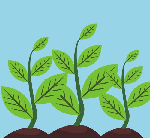 SUSTAINABILITY REPORT DECEMBER 2024